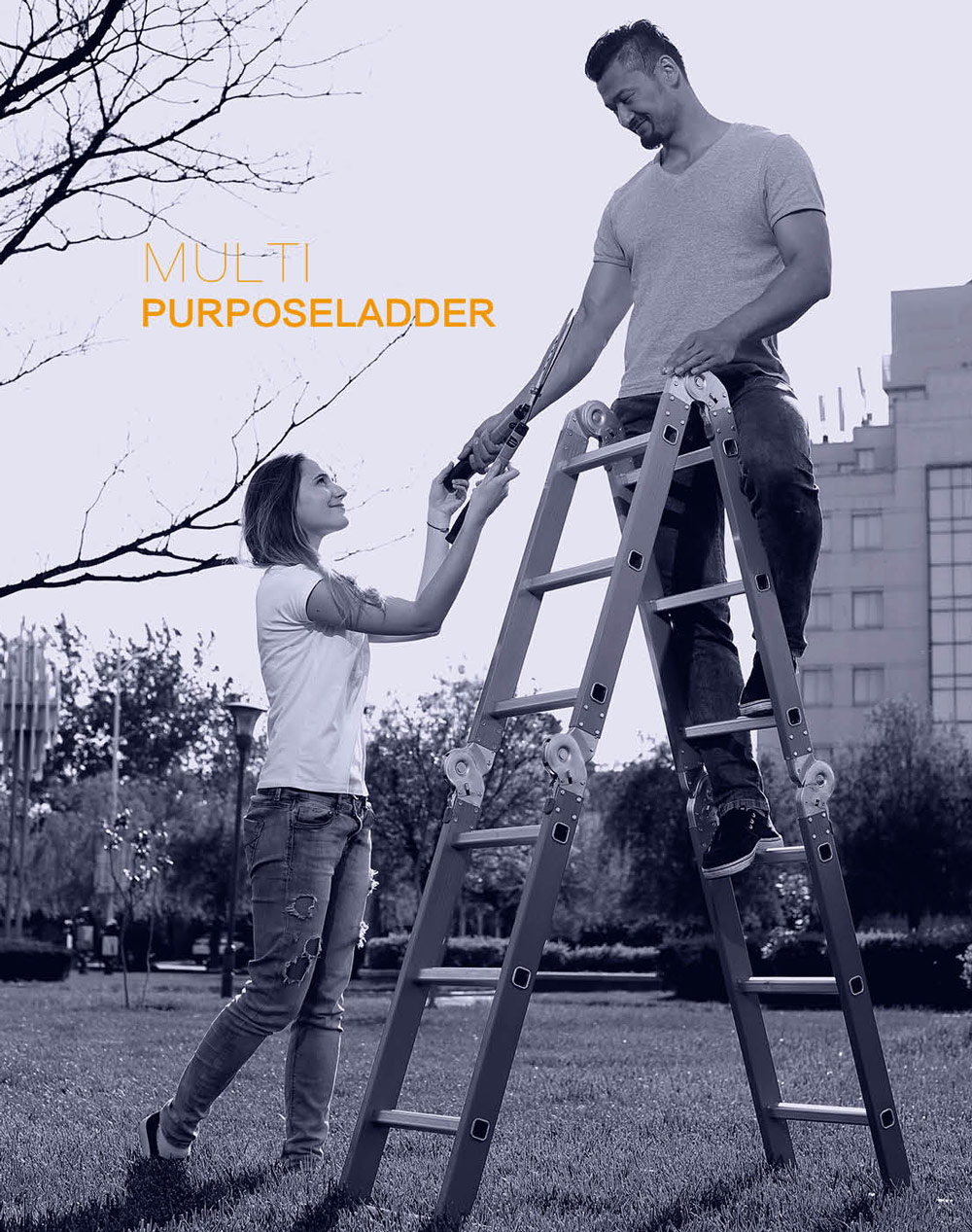 Multi purpose ladder